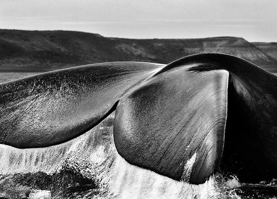 Spectacular Photos By Photojournalist Sebastião Salgado Spectacular Photos By Photojournalist Sebastião Salgado