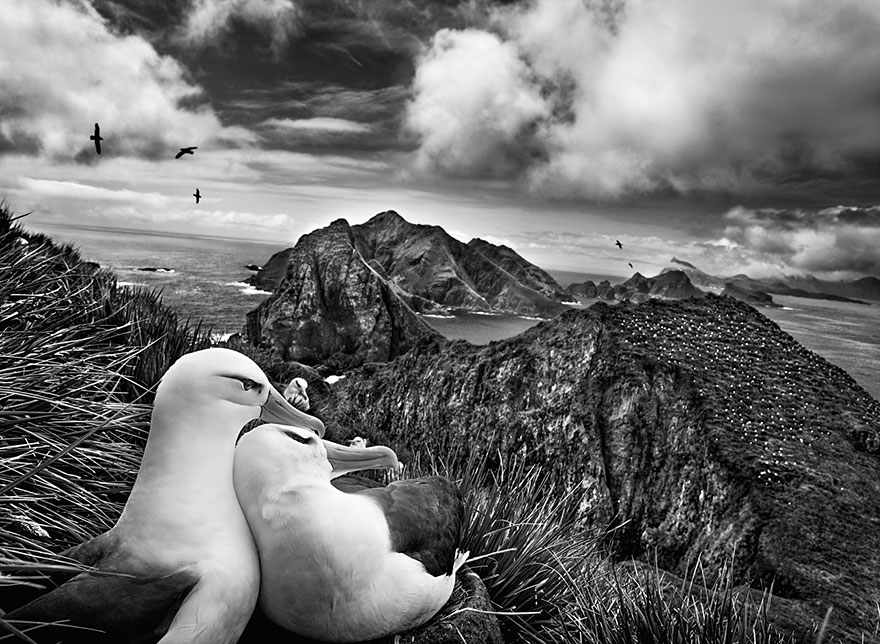 Spectacular Photos By Photojournalist Sebastião Salgado Spectacular Photos By Photojournalist Sebastião Salgado