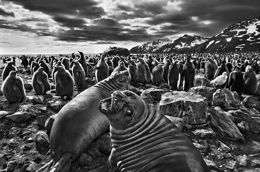 Spectacular Photos By Photojournalist Sebastião Salgado Spectacular Photos By Photojournalist Sebastião Salgado