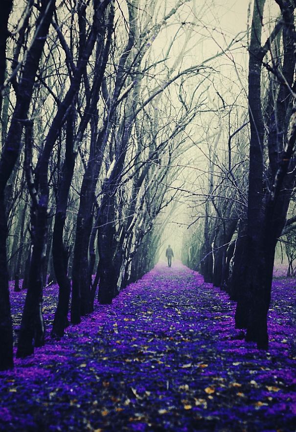 18 Surreal Photo-manipulations With Silhouettes