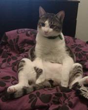 maria-sigala-10 avatar