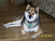 maureen-causey avatar