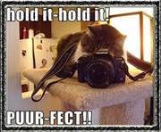 david-turnbole avatar