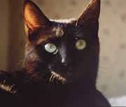 angela.carera avatar