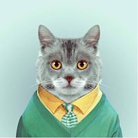 sebastian.berescu avatar