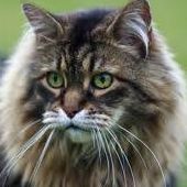 marjorie.kidder.1 avatar