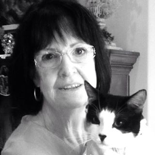 hillary-bowden avatar