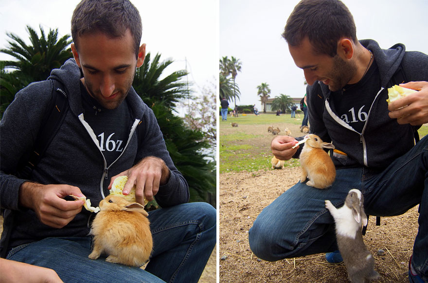Cute Baby Bunnies Hang Out With A Visitor To Rabbit Island In Japan
