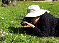 susanna.kushmansinigaglia avatar