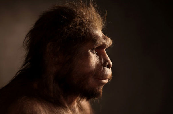 Amazingly Realistic Reconstructions Of Our Ancestors Illustrate Human Evolution