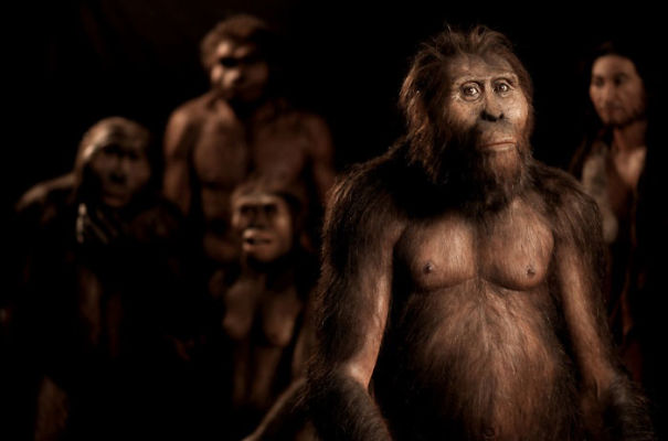 Amazingly Realistic Reconstructions Of Our Ancestors Illustrate Human Evolution