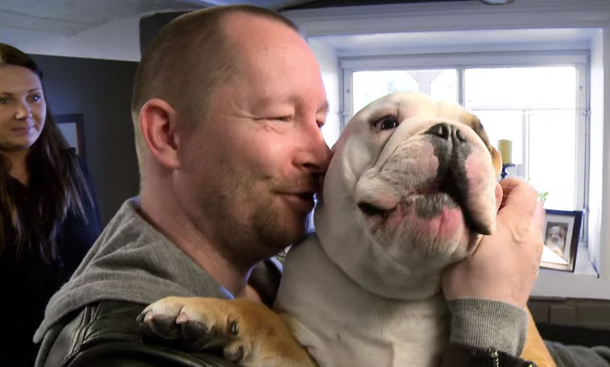 bulldog-love-story-house-12