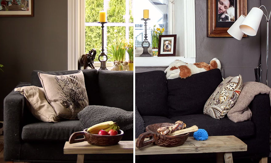 bulldog-love-story-house-14