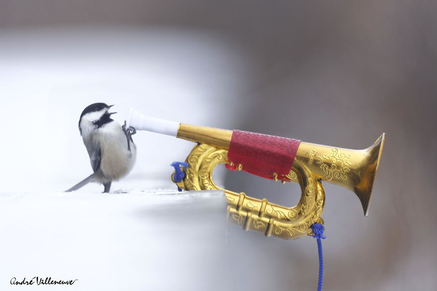 Photographer Captures Adorable Squirrels And Titmice Eating Together Photographer Captures Adorable Squirrels And Titmice Eating Together