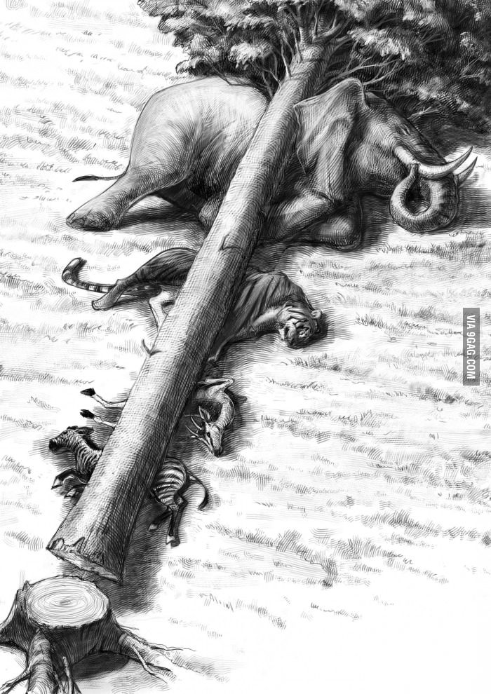 Deforestation Kills Wildlife