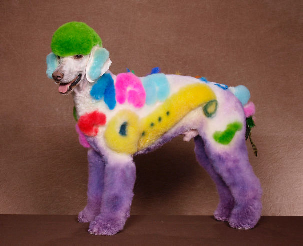 21 Creatively Groomed Dogs To Make You Smile