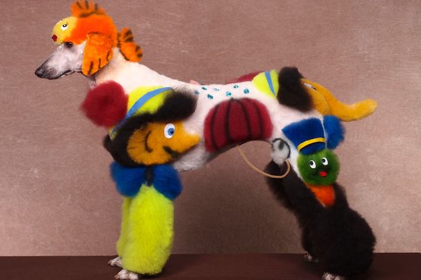 21 Creatively Groomed Dogs To Make You Smile 21 Creatively Groomed Dogs To Make You Smile