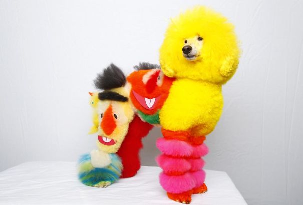 21 Creatively Groomed Dogs To Make You Smile 21 Creatively Groomed Dogs To Make You Smile