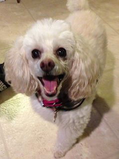 jeanne.johns.58 avatar