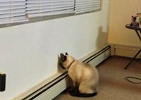 53a558b51f487 avatar