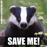 susan.berry.5817 avatar