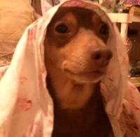 honolulu.storm avatar