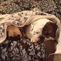 holly.sernulka avatar