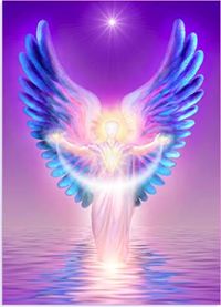 linda.foster.35380399 avatar