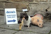 jazrine.pickett avatar