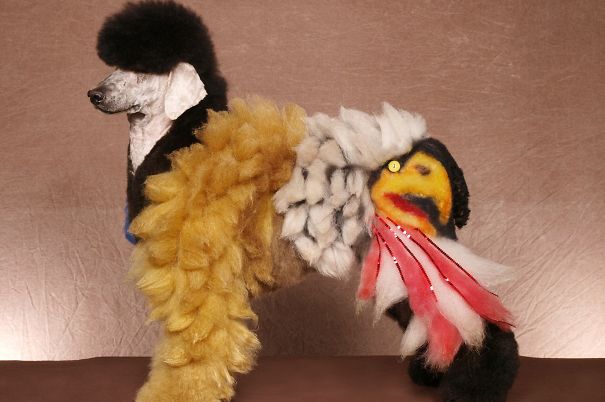 21 Creatively Groomed Dogs To Make You Smile