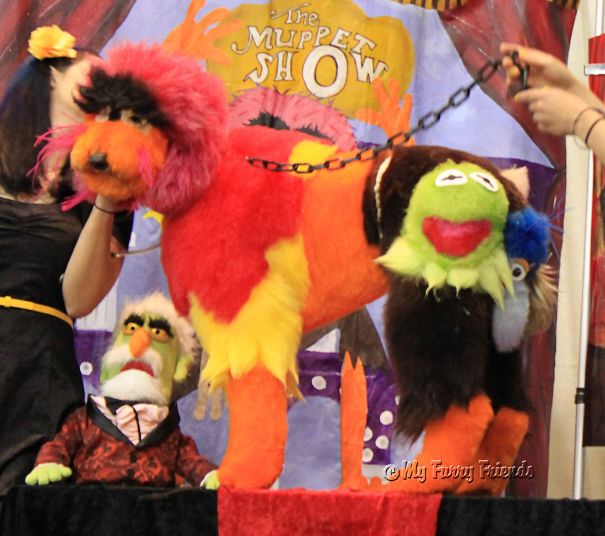 21 Creatively Groomed Dogs To Make You Smile 21 Creatively Groomed Dogs To Make You Smile