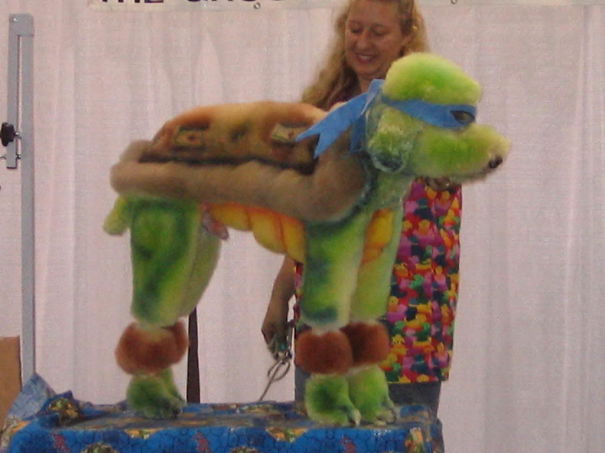 21 Creatively Groomed Dogs To Make You Smile