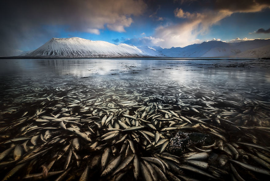 Images Of Iceland In Winter By Erez Marom