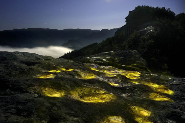 Photographs Of Mystical Rock Niches Reveal New Objects For Science Photographs Of Mystical Rock Niches Reveal New Objects For Science