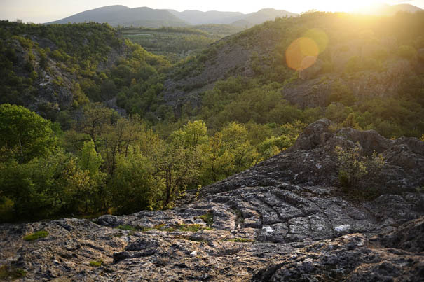 Photographs Of Mystical Rock Niches Reveal New Objects For Science Photographs Of Mystical Rock Niches Reveal New Objects For Science
