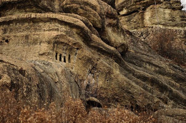 Photographs Of Mystical Rock Niches Reveal New Objects For Science Photographs Of Mystical Rock Niches Reveal New Objects For Science