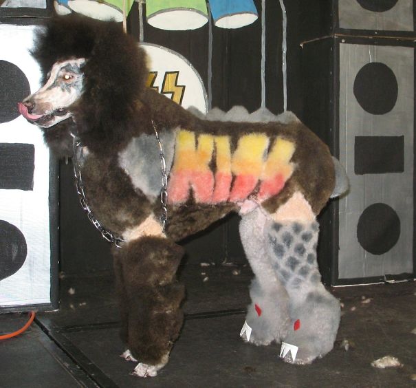 21 Creatively Groomed Dogs To Make You Smile