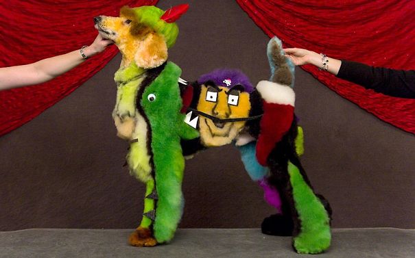 21 Creatively Groomed Dogs To Make You Smile 21 Creatively Groomed Dogs To Make You Smile