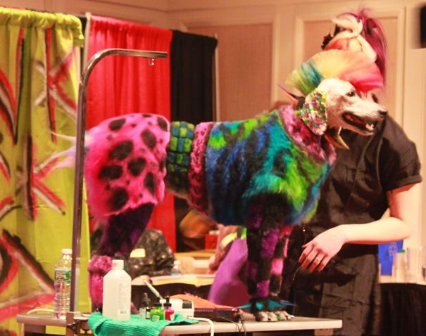 21 Creatively Groomed Dogs To Make You Smile