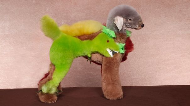 21 Creatively Groomed Dogs To Make You Smile 21 Creatively Groomed Dogs To Make You Smile