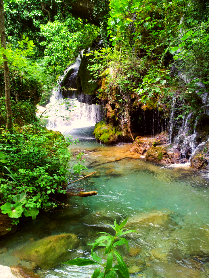 Oasi Di Morigerati - Cilento - Italy