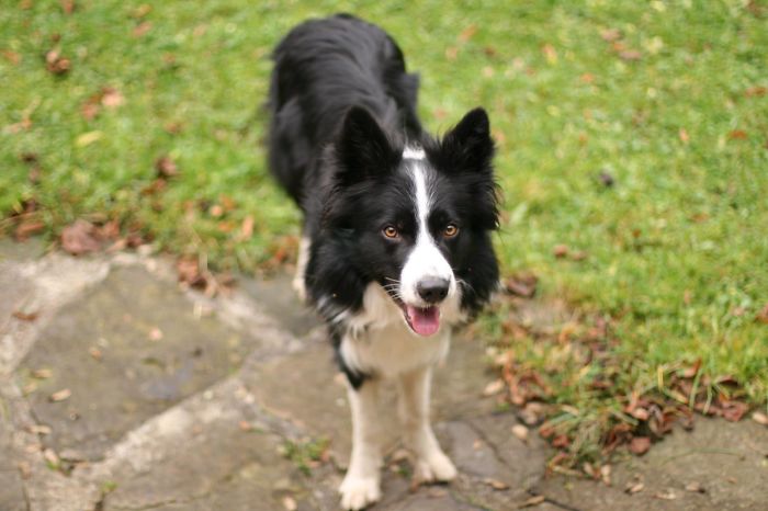 This Is Misho :) Our Funny Guy :d