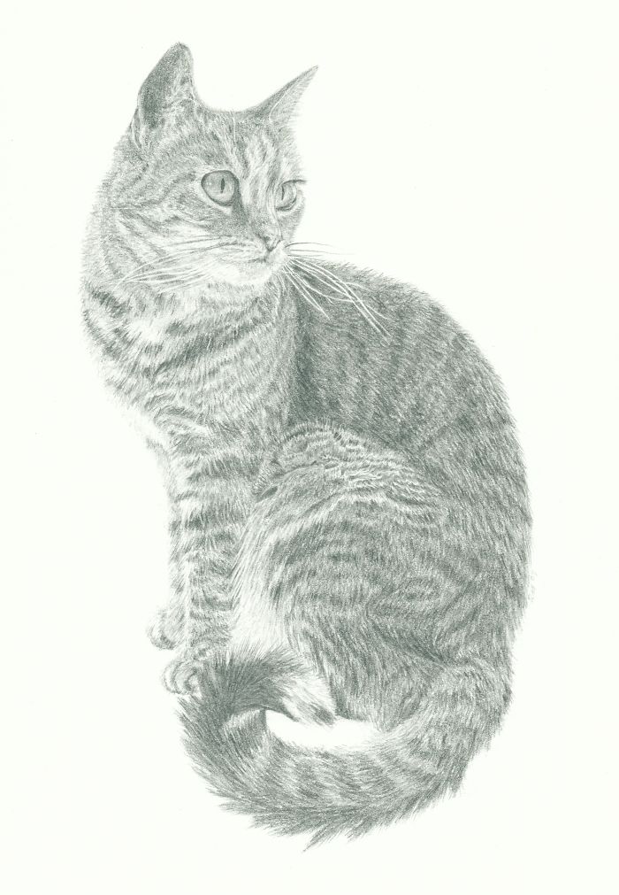 Photorealism - Rachel Howard