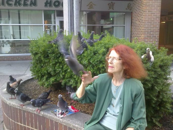 Parkwoods Plaza Toronto Canada