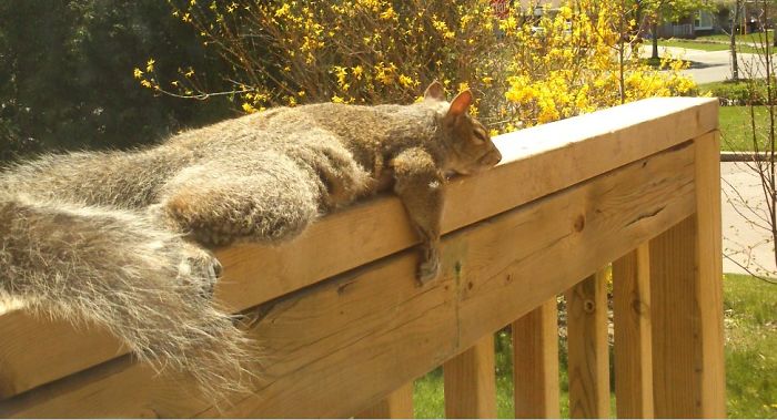 Wake Me Up When September Ends , Sony Xperia ,toronto Canada