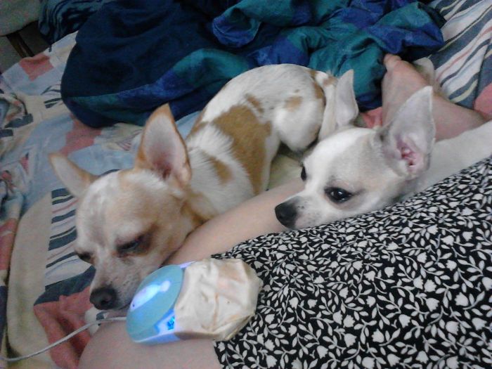 Sam And Rilley - "i Am Sleepy But I Don't Wanna Go To Bed" :)