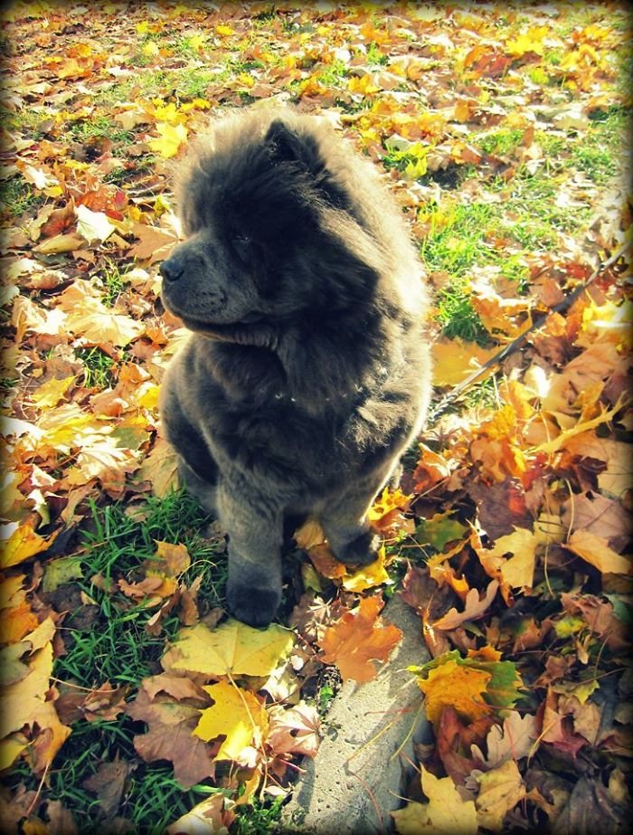 Just Relax And Enjoy :)