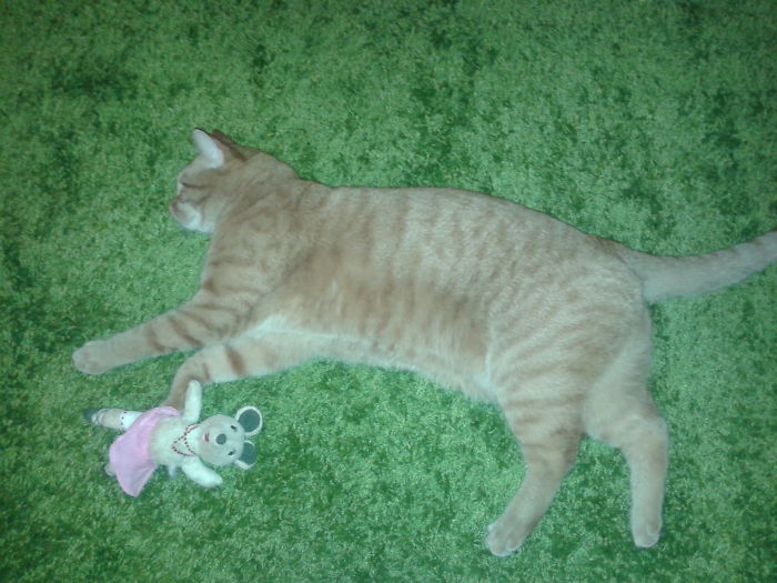 Dexter And His Ballerina