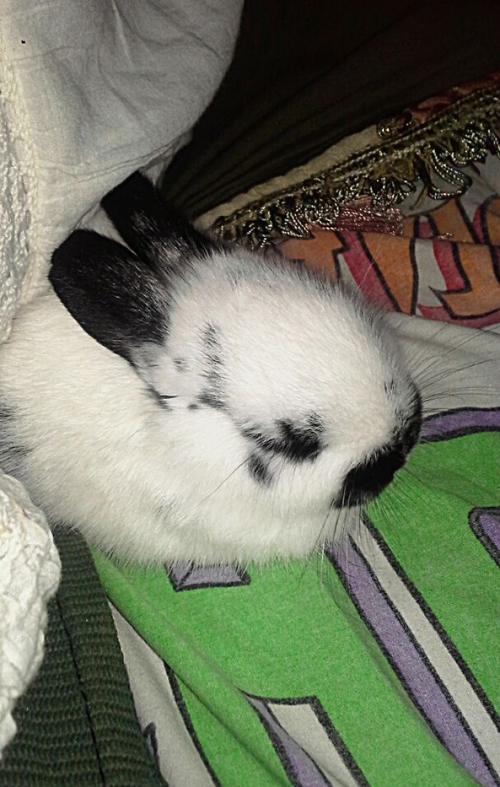 Baby Ken-ji Taking A Nap