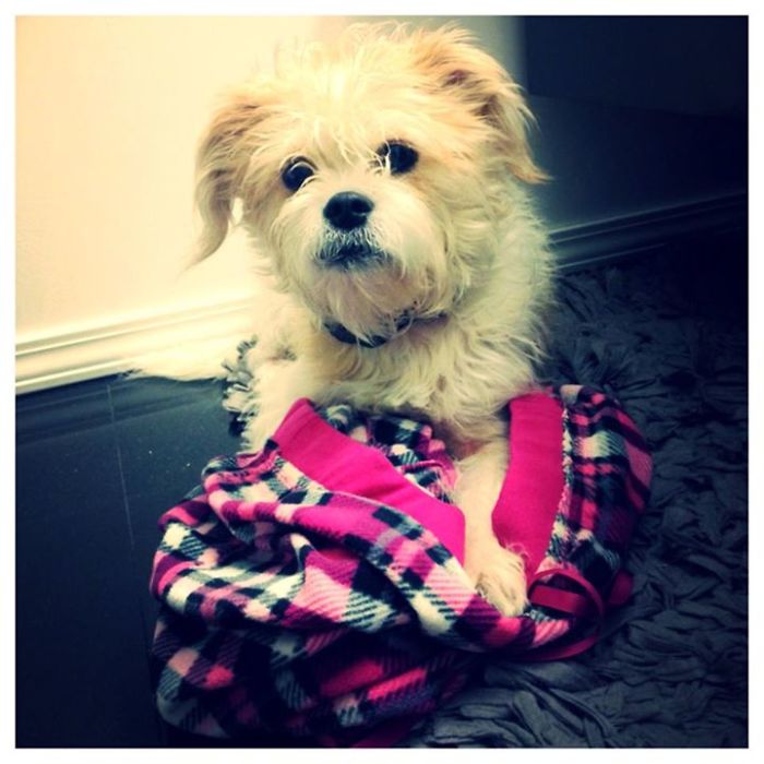 Petey The Pajama Thief!